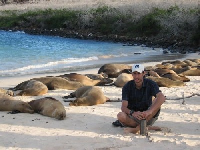 Galapagos y lobos marinos